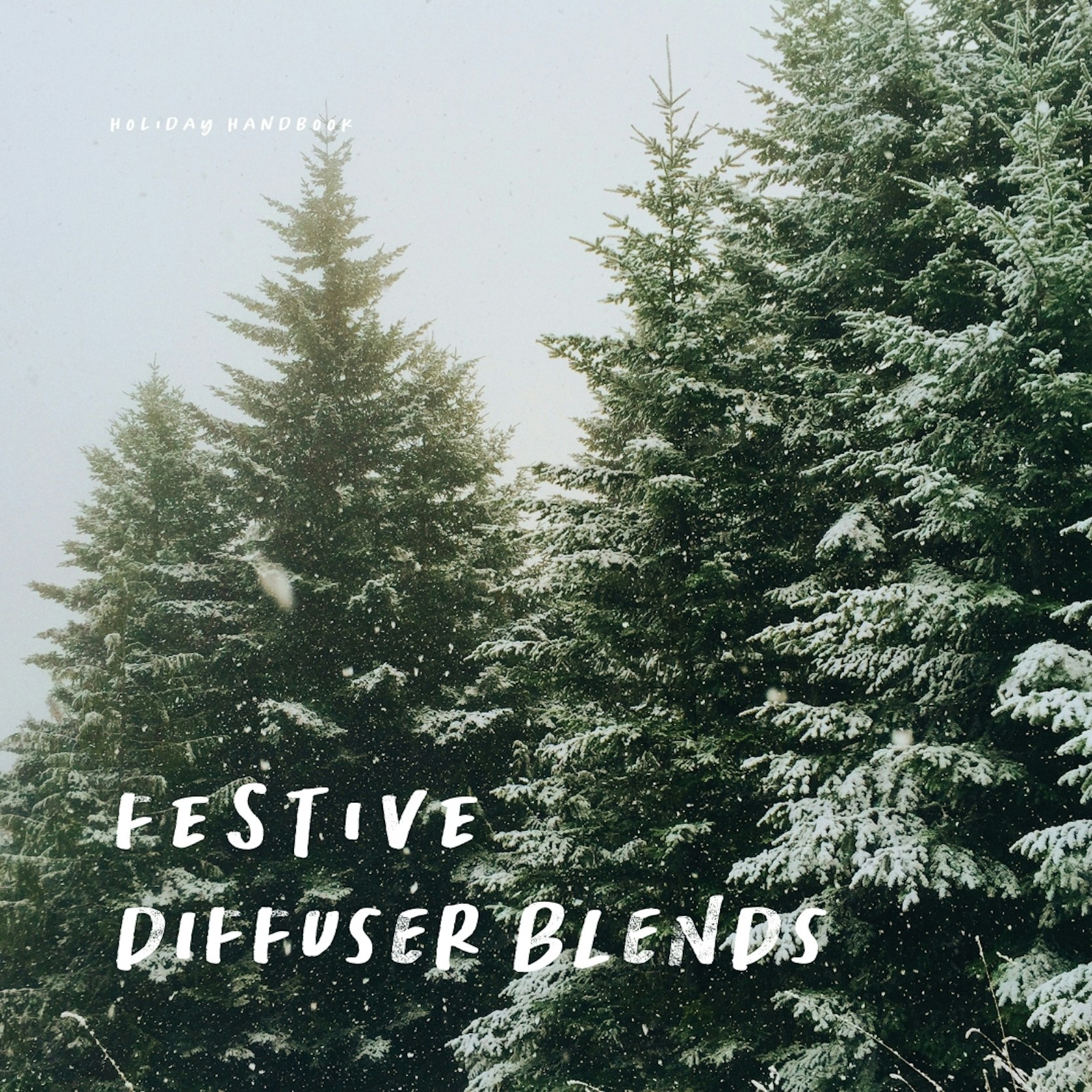 festivediffuserblends