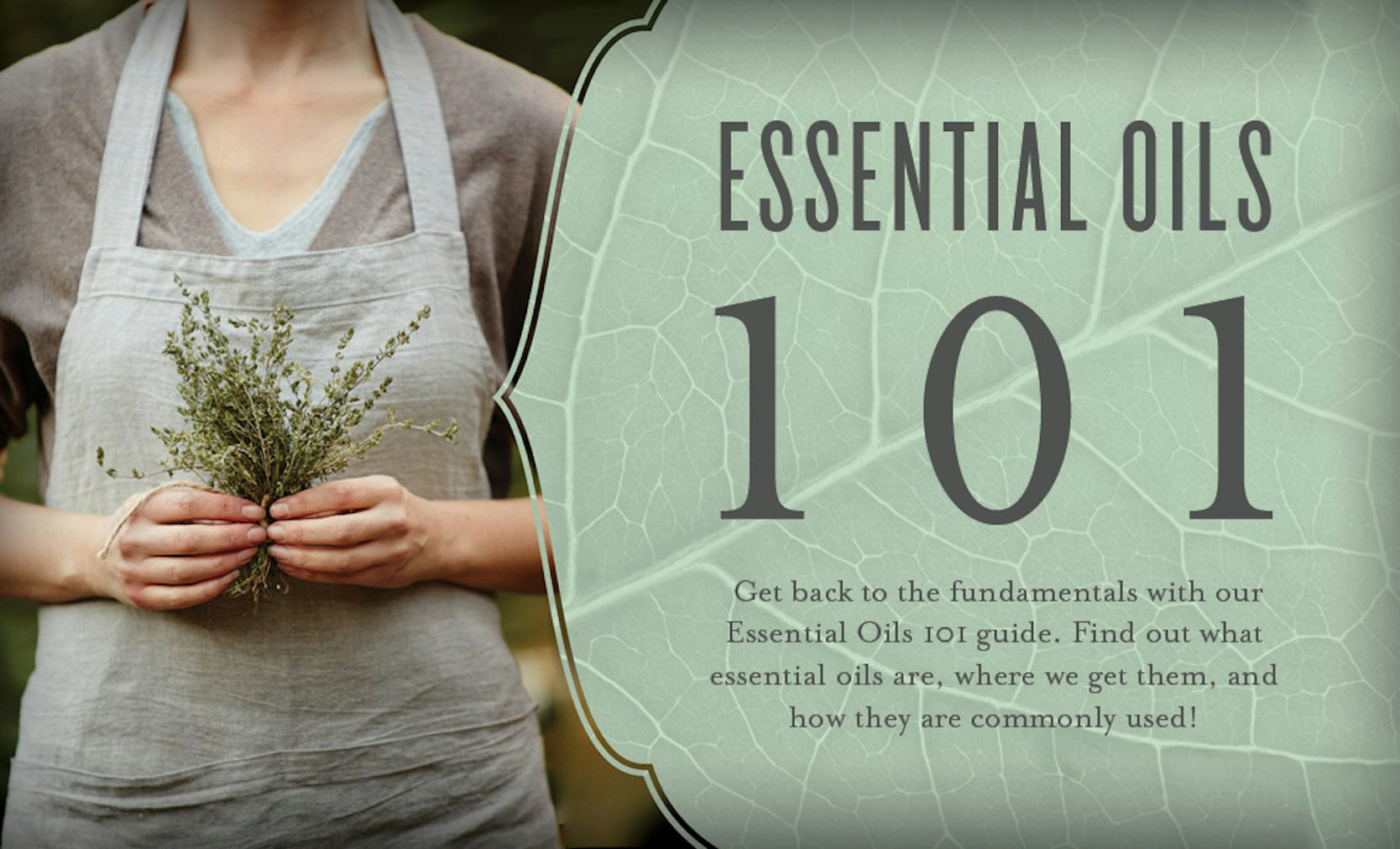 What Are Essential Oils?, Essential Oils 101